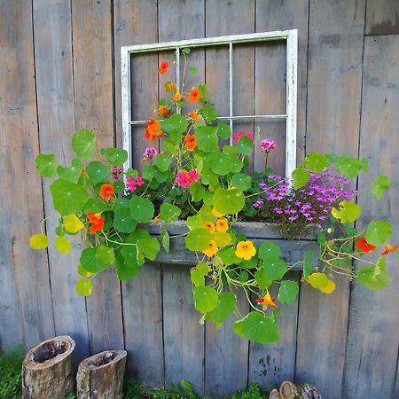 Spacious Country Retreat Close To Town And Nature, Sylvana Farm Vt Montpelier Exterior photo
