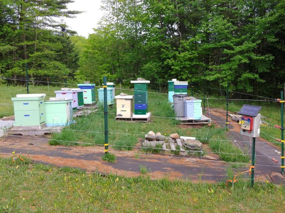 Spacious Country Retreat Close To Town And Nature, Sylvana Farm Vt Montpelier Exterior photo