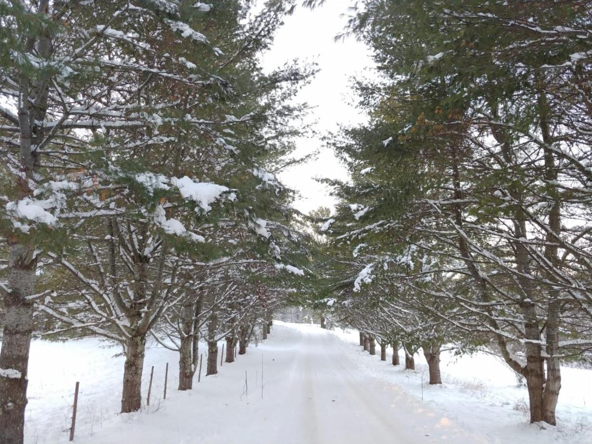 Spacious Country Retreat Close To Town And Nature, Sylvana Farm Vt Montpelier Exterior photo